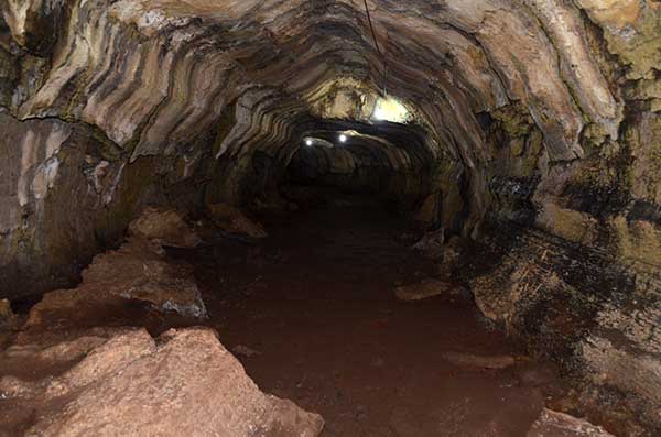 103 - Ecuador - islas Galapagos - isla Santa Cruz - tunel de lava